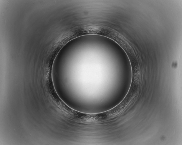 X0000098230604200804241342