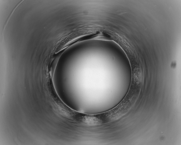 X0000098230605200804241342