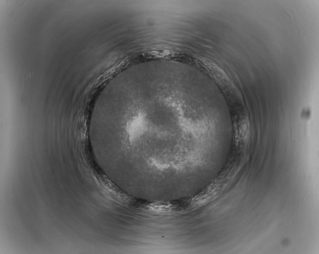 X0000098230606200804241342