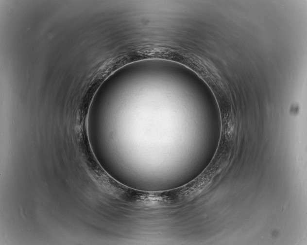 X0000098230607200804241342