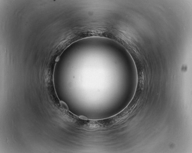 X0000098230608200804241342