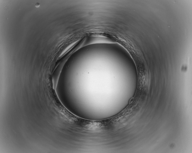 X0000098230609200804241342