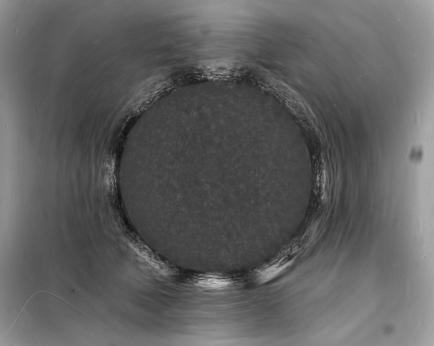 X0000098230610200804241342