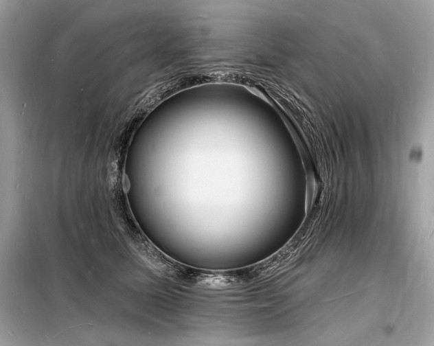 X0000098230611200804241342