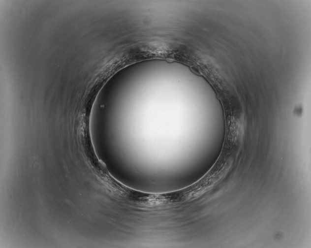 X0000098230612200804241342