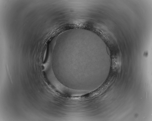X0000098230613200804241342