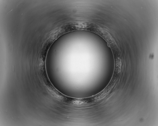 X0000098230614200804241342