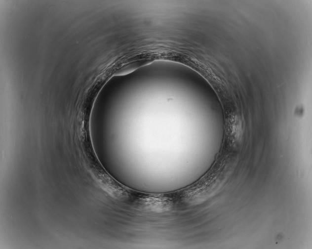 X0000098230615200804241342