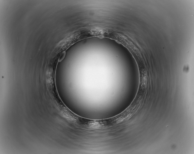 X0000098230616200804241342