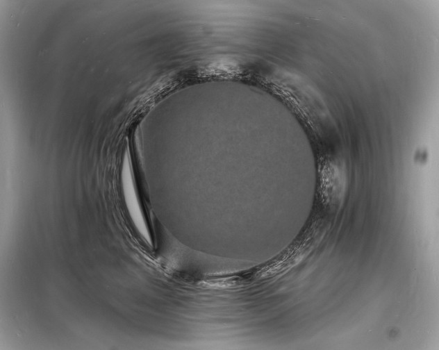 X0000098230617200804241342