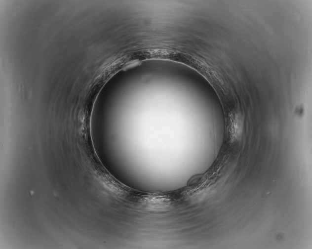 X0000098230619200804241342
