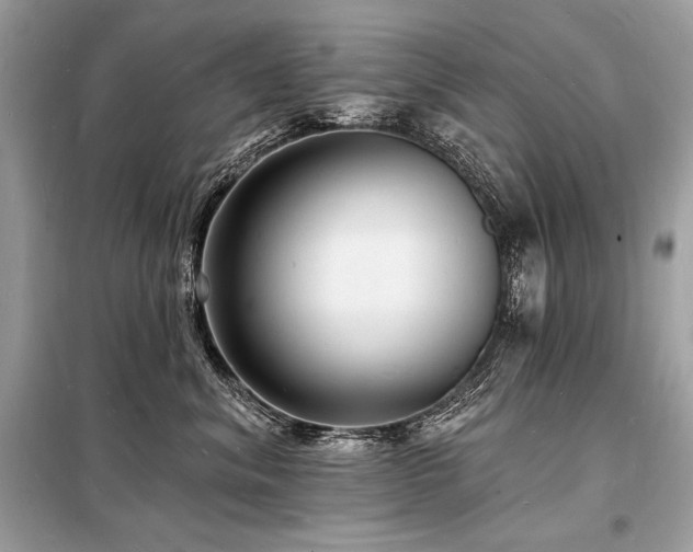 X0000098230620200804241342