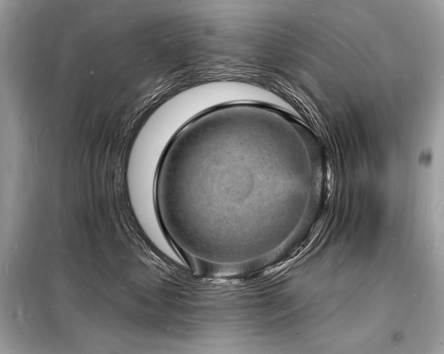 X0000098230621200804241342