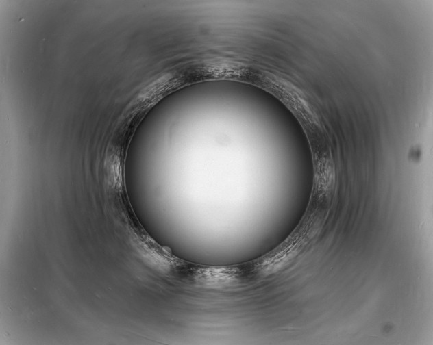 X0000098230622200804241342