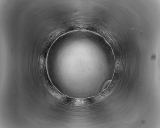 X0000098230623200804241342