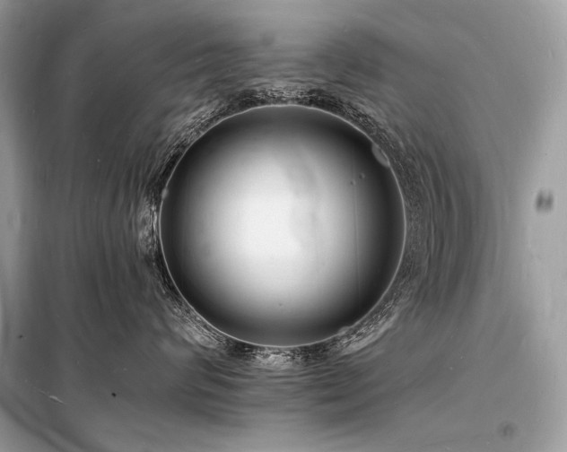 X0000098230624200804241342