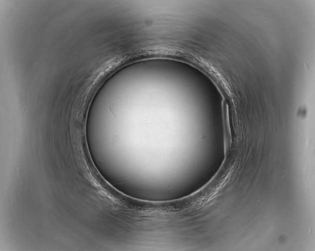X0000098230625200804241341