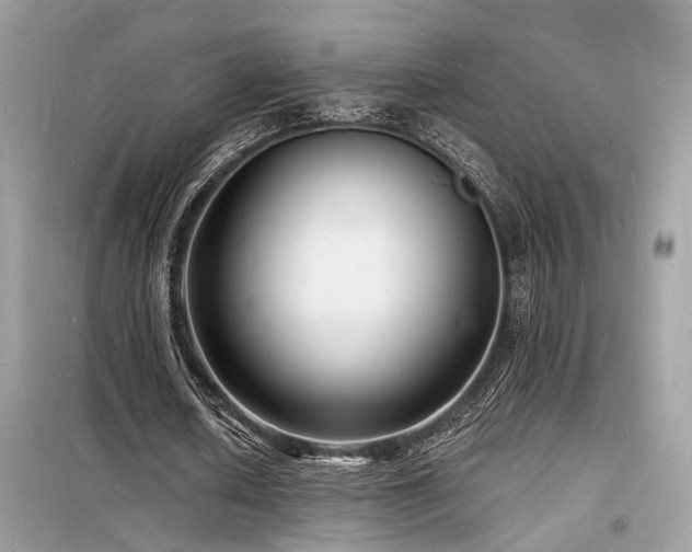 X0000098230626200804241341