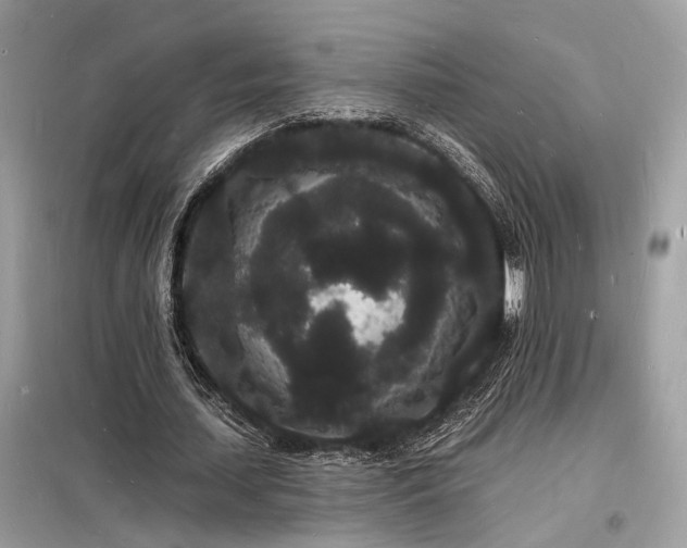 X0000098230627200804241341