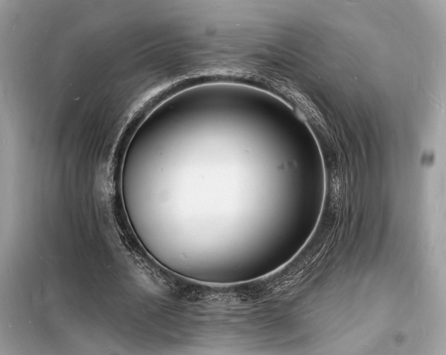 X0000098230628200804241341