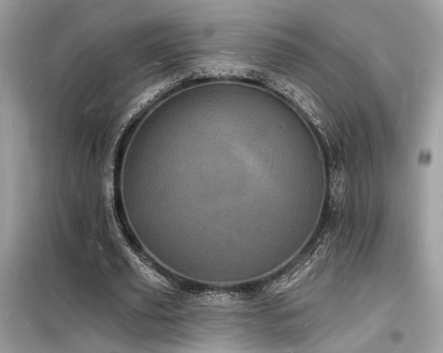 X0000098230629200804241341