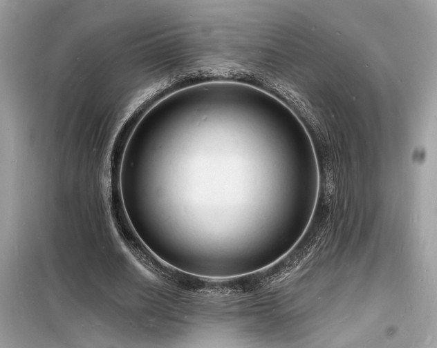 X0000098230630200804241341