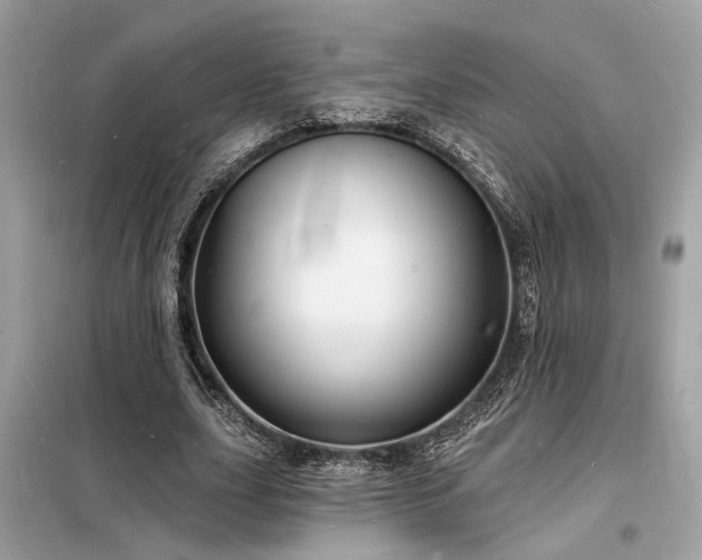 X0000098230631200804241341