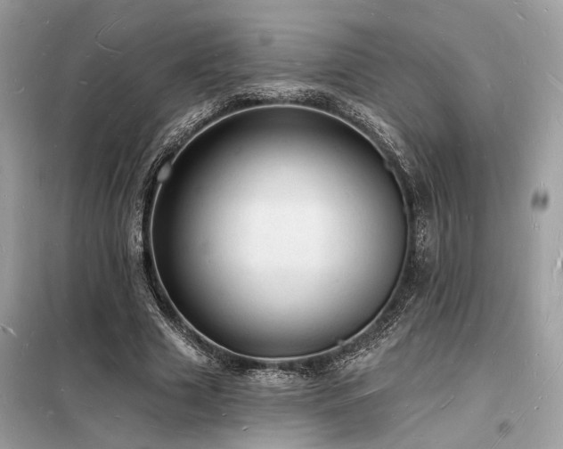 X0000098230633200804241341