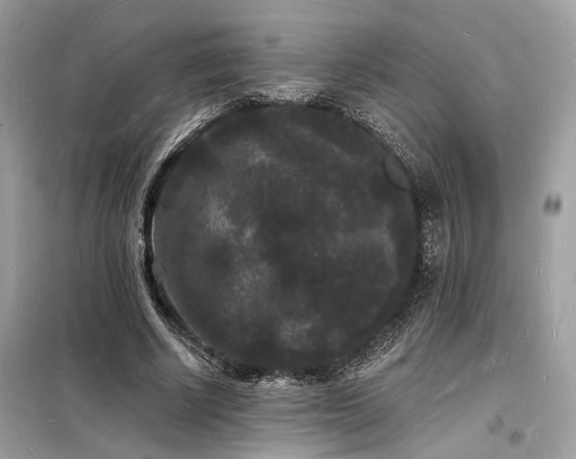 X0000098230634200804241341