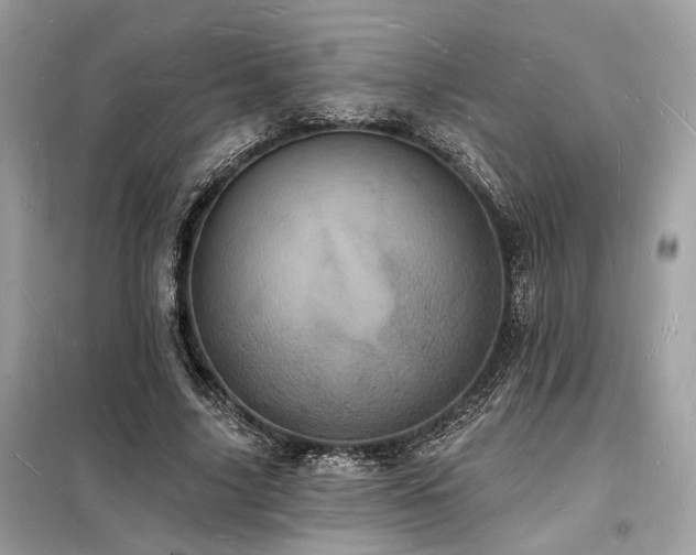X0000098230635200804241341