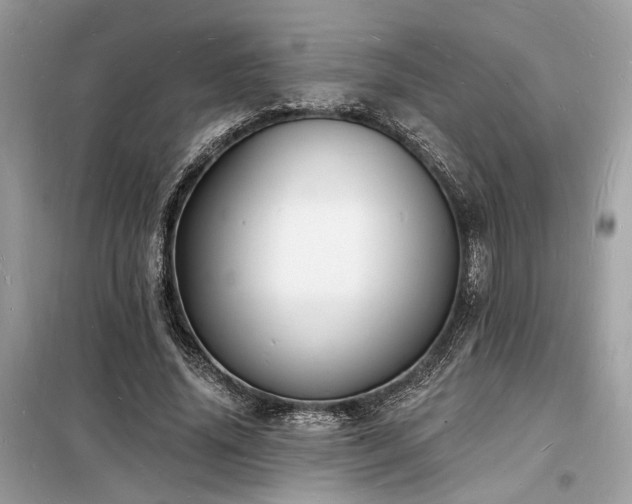 X0000098230636200804241341