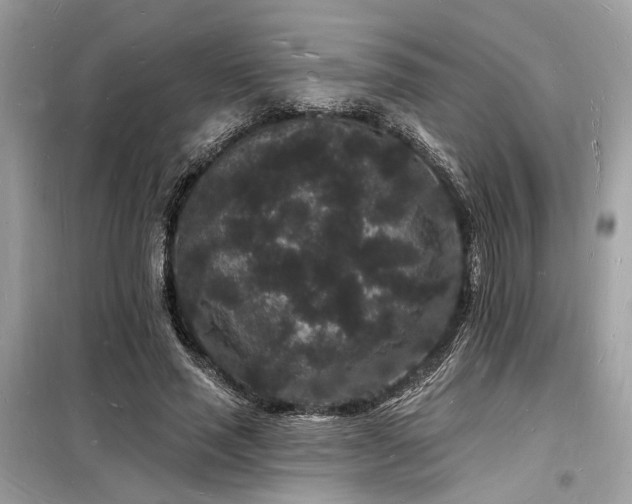 X0000098230637200804241341