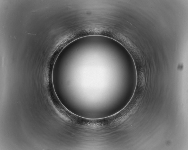 X0000098230638200804241341