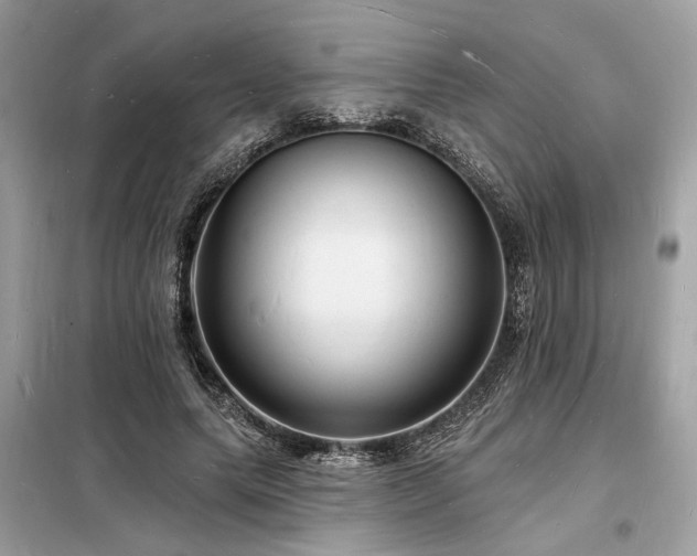 X0000098230639200804241341