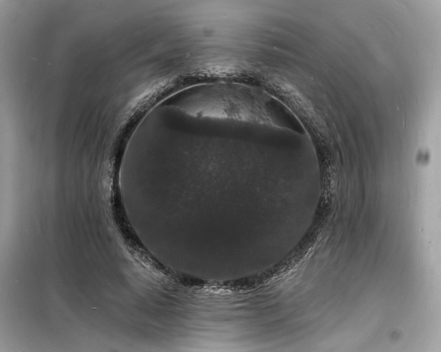 X0000098230640200804241341