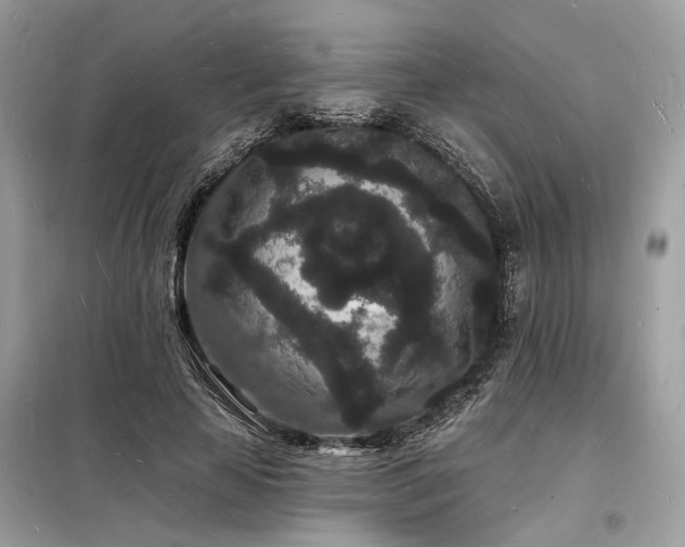 X0000098230641200804241341