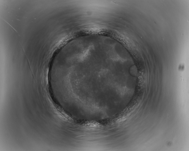 X0000098230642200804241341