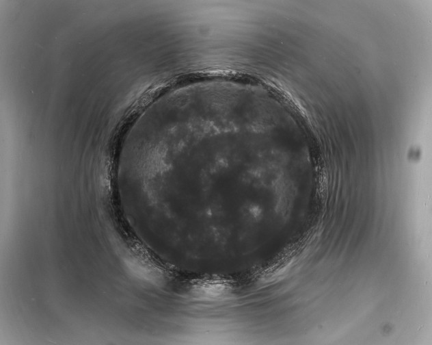 X0000098230643200804241341