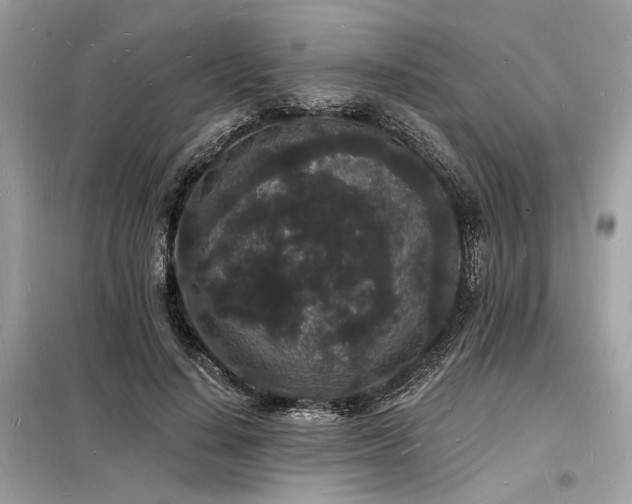 X0000098230644200804241341