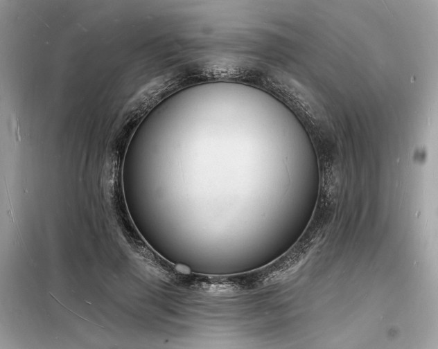 X0000098230645200804241341