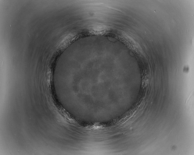 X0000098230647200804241341