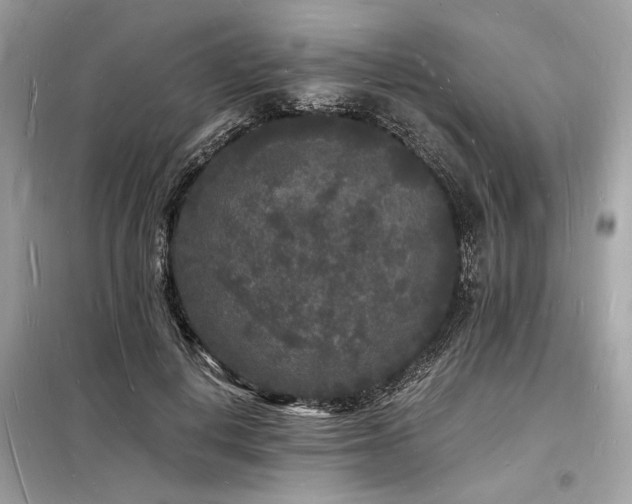 X0000098230648200804241341