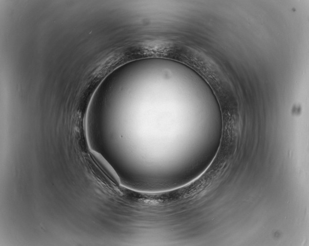 X0000098230649200804241341