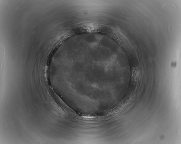 X0000098230650200804241341