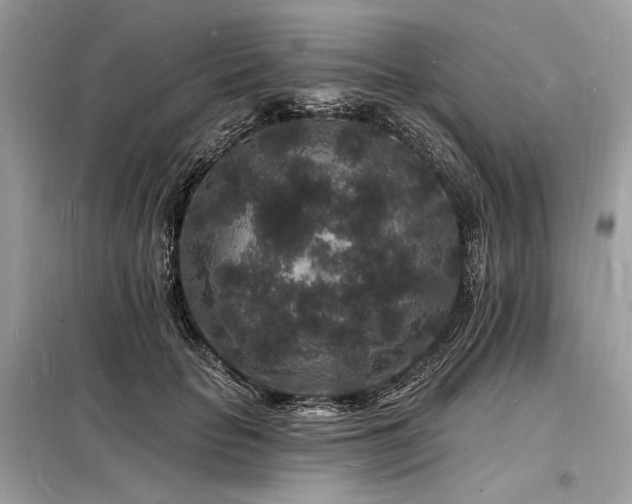 X0000098230653200804241341
