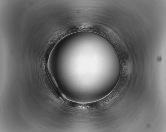 X0000098230654200804241341