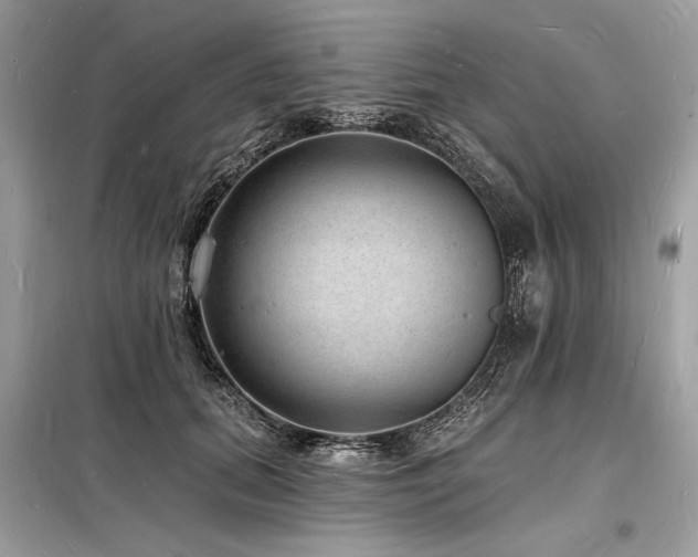 X0000098230655200804241341