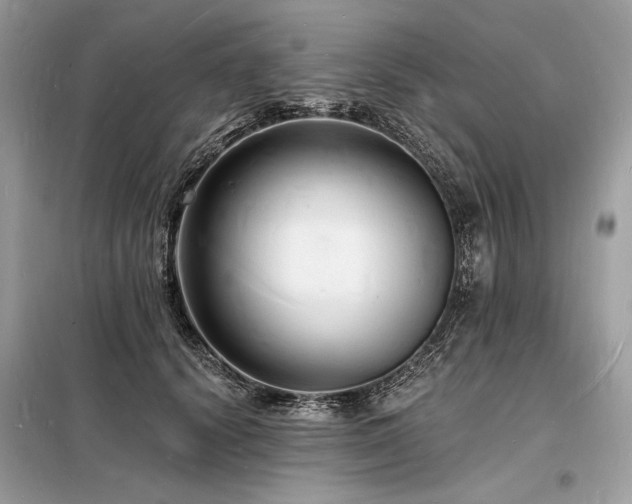 X0000098230656200804241341