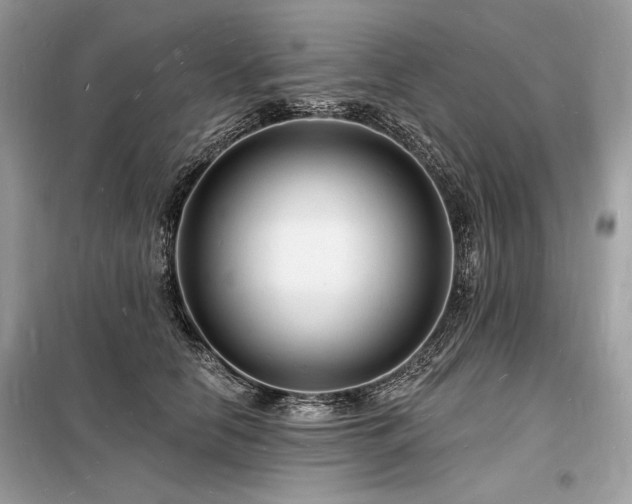 X0000098230658200804241341