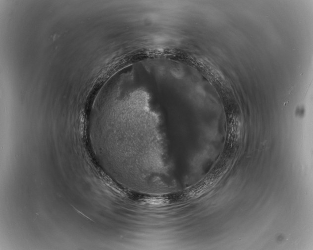 X0000098230659200804241341